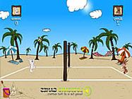 Beach volleyball game online állatos játék
