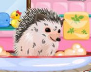 Cute hedgehog care ingyen játék