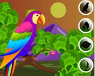 Decor the cute parrot online állatos játék