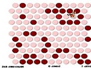 Trap the tiger online