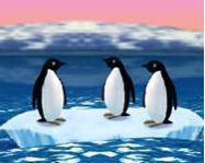 Turbocharged Penguins állatos játékok